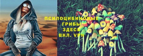 mdpv Горнозаводск