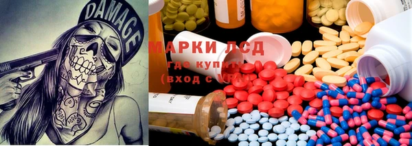 сатива Вязники